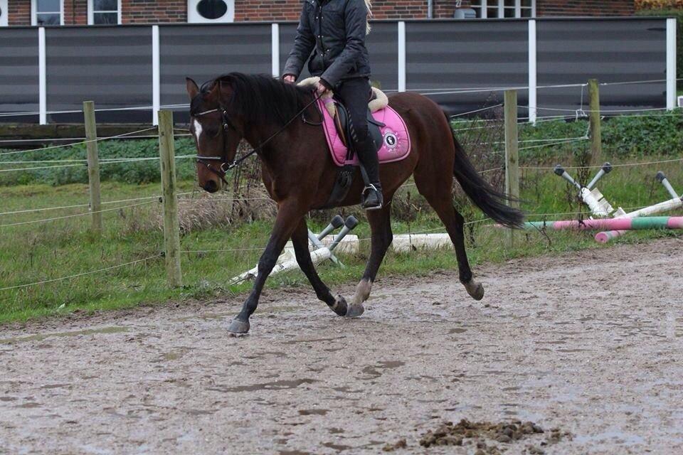 DSP Kulis Akena billede 14