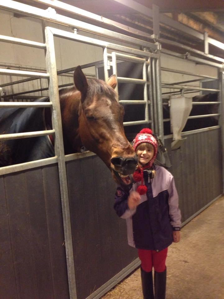 Fuldblod (XX) Pingus billede 9