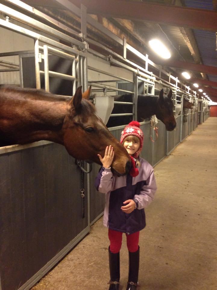 Fuldblod (XX) Pingus billede 10