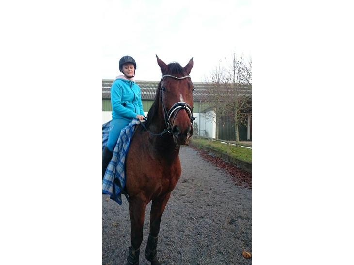 {{currentPhoto.altText}} billede {{currentPhoto.number}}