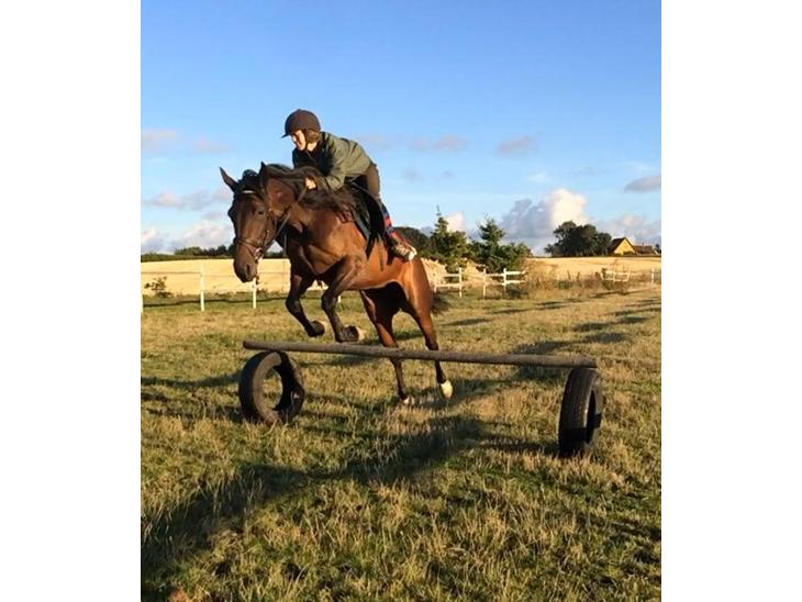 {{currentPhoto.altText}} billede {{currentPhoto.number}}