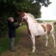 Anden særlig race Che Mondo Bello