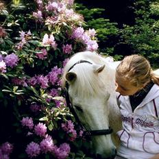 Anden særlig race Junker <3