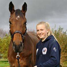 Dansk Varmblod Pauline Byhøj