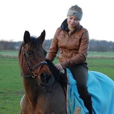 Anden særlig race Holly