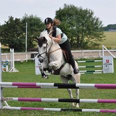 Anden særlig race silver (Min bedste ven) <3