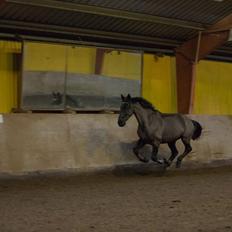 Oldenborg Benjamin