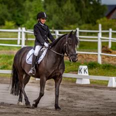 Anden særlig race Starlight