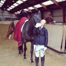 Dansk Varmblod Furano Ifco