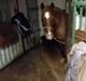 Anden særlig race Clements Gipsy King
