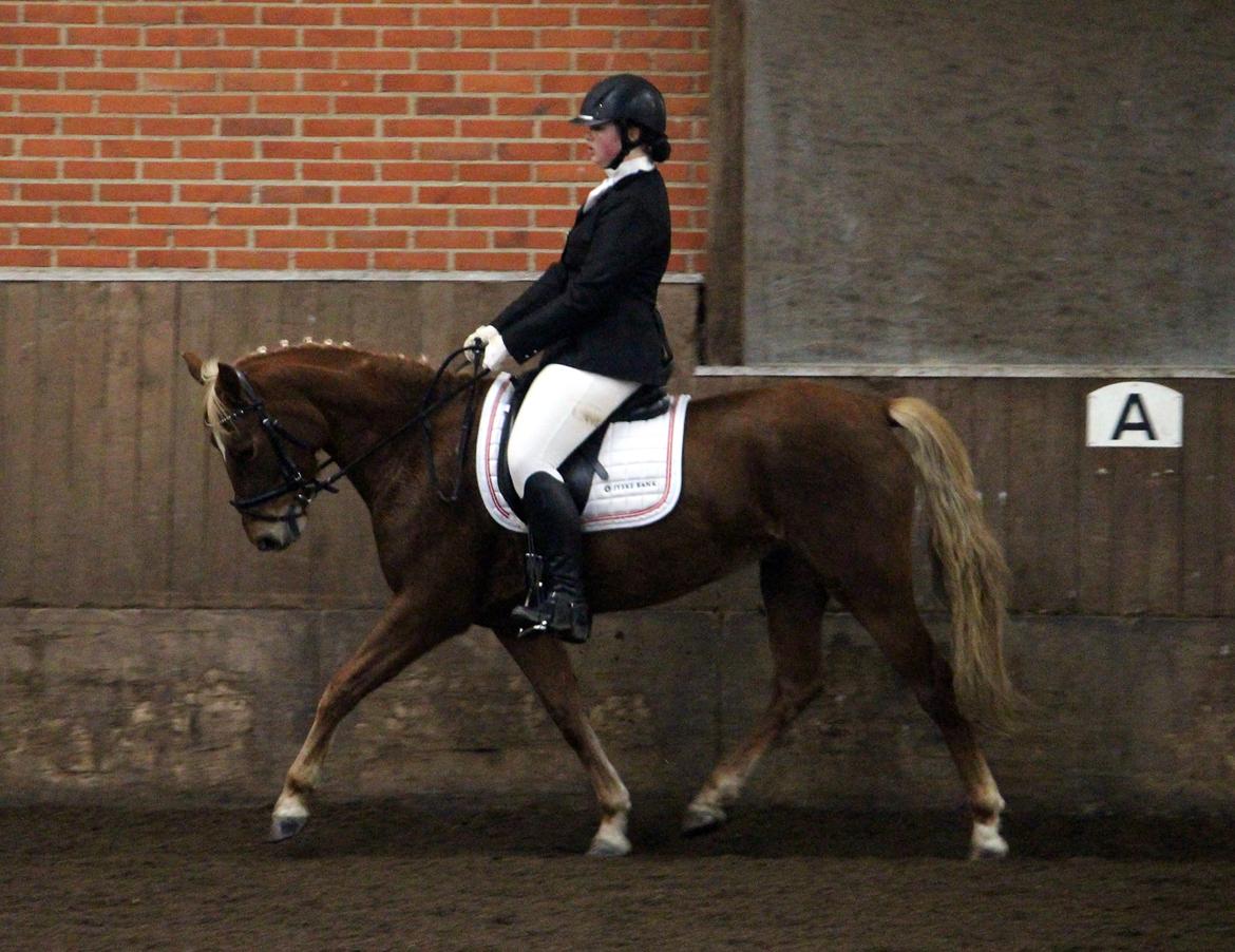 DSP Sunspot billede 17