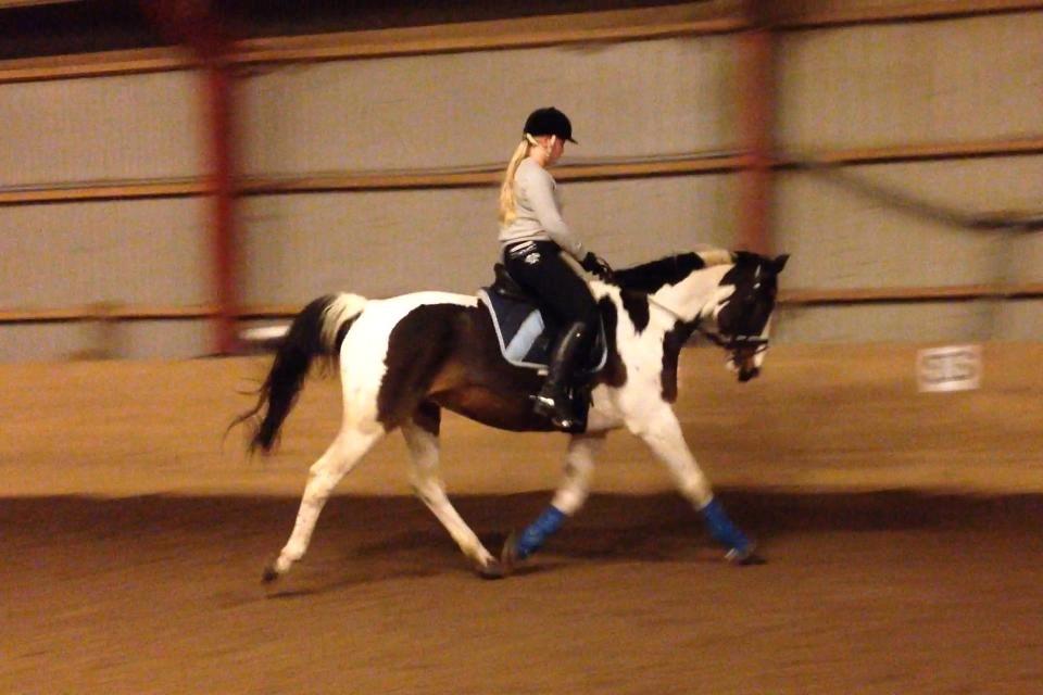 Pinto PePitto - Petti<3 - træning..<3 undskyld kvali.. billede 16