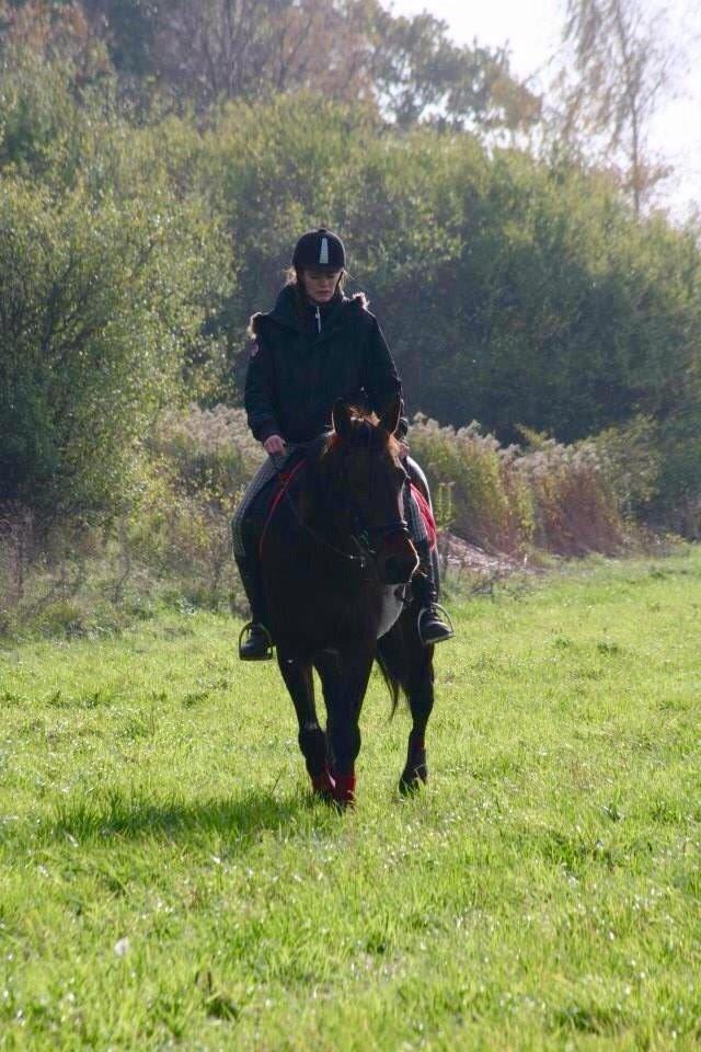 Traver Raphia billede 20