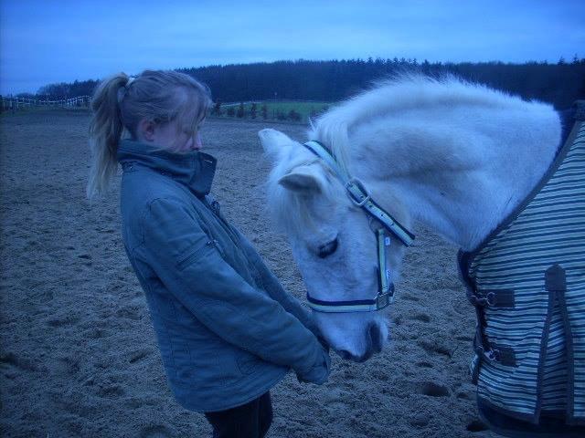 Anden særlig race Junker <3 billede 35