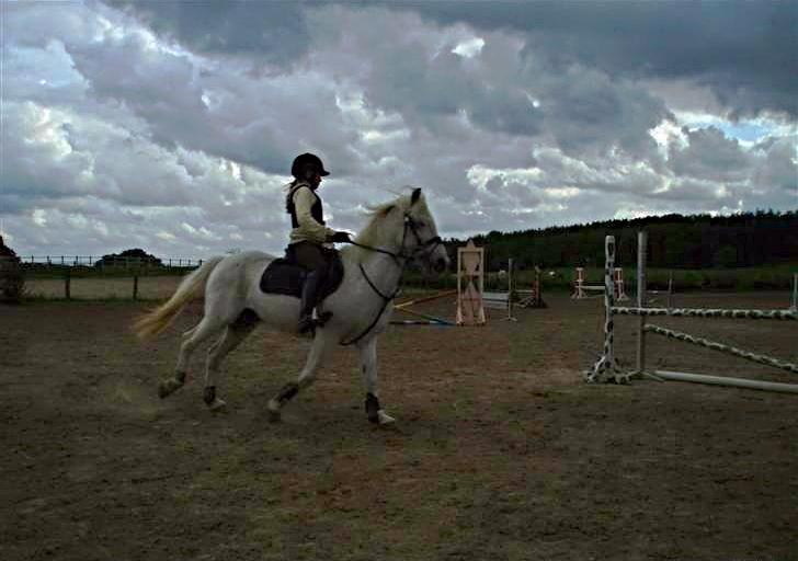 Anden særlig race Junker <3 billede 16