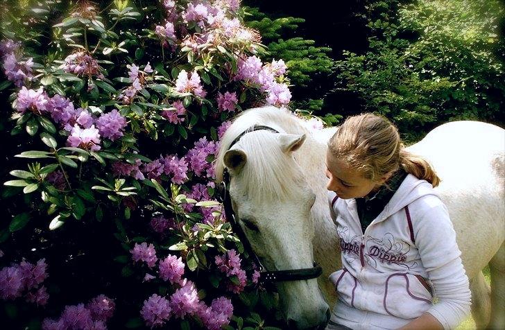 Anden særlig race Junker <3 - 
Savner dig mere end noget andet! Du vil altid være min største stjerne!! <3 billede 2