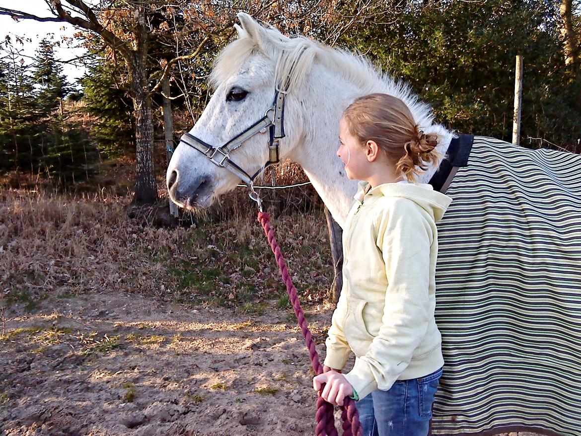 Anden særlig race Junker <3 - Du min sol, du min måne det er dig der maler himlen blå, på en grå dag! billede 9