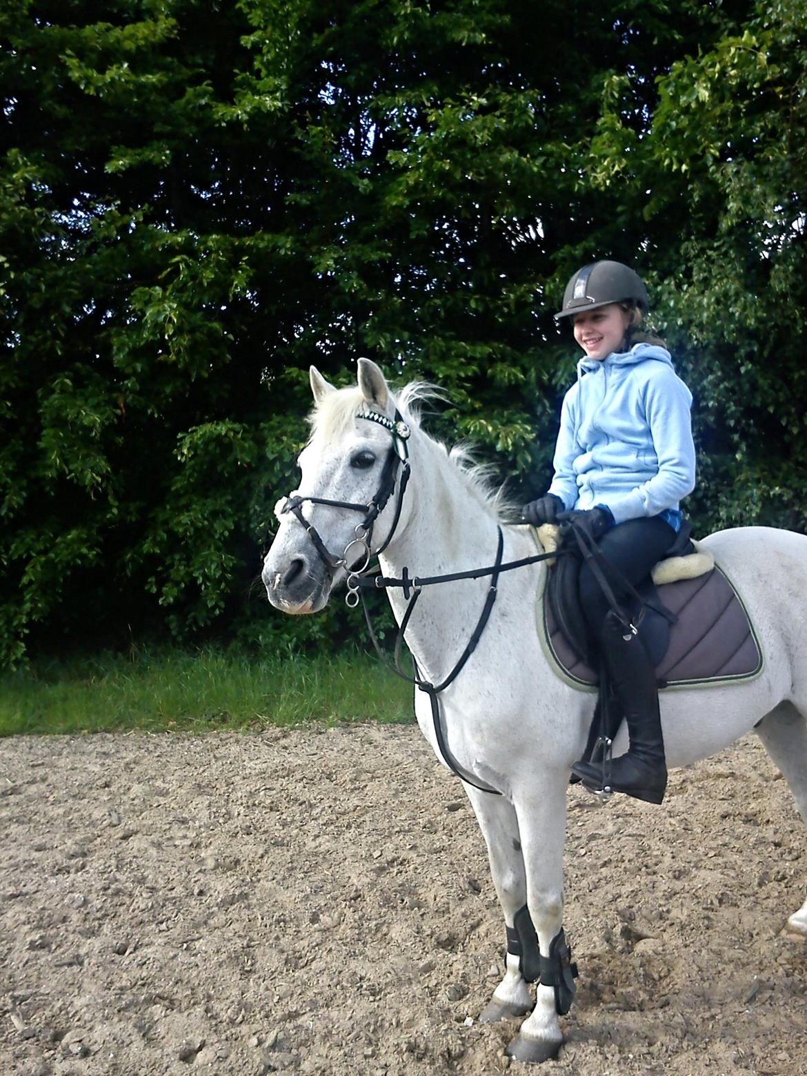 Anden særlig race Junker <3 - You will always be the best for me. billede 10