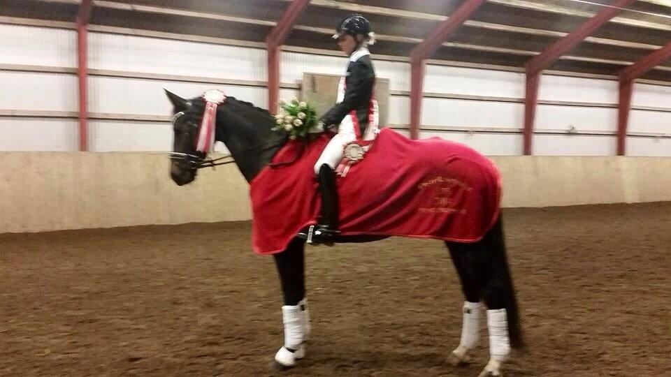 Dansk Varmblod Drisdals Co-Co Chanel RDH billede 10