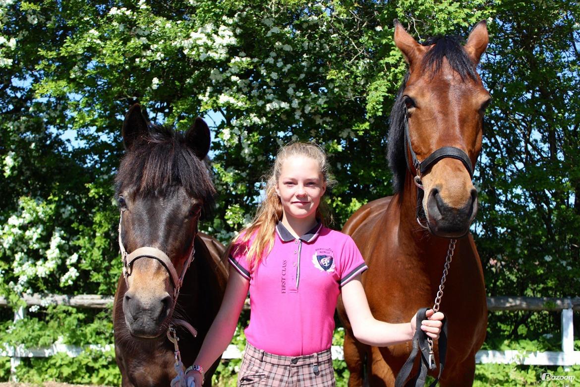 New Forest Mankehøjs Ikzi - Til venstre min skønne pony Ikzi, til højre min skønne hest Chateaux <3 Elsker jer så højt! billede 20