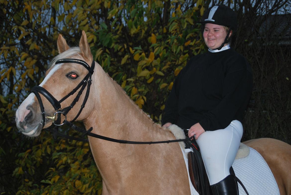 Anden særlig race Golden dancer - Godt tilfreds med Gule :-) billede 13