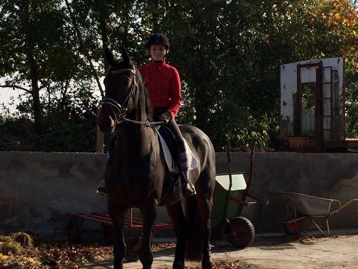 Dansk Varmblod Egebjergs Roseanne billede 1