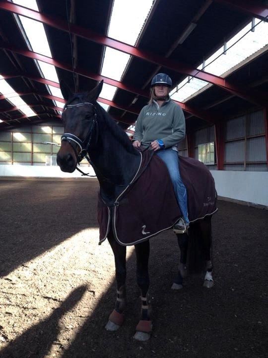 Dansk Varmblod Egebjergs Roseanne billede 6