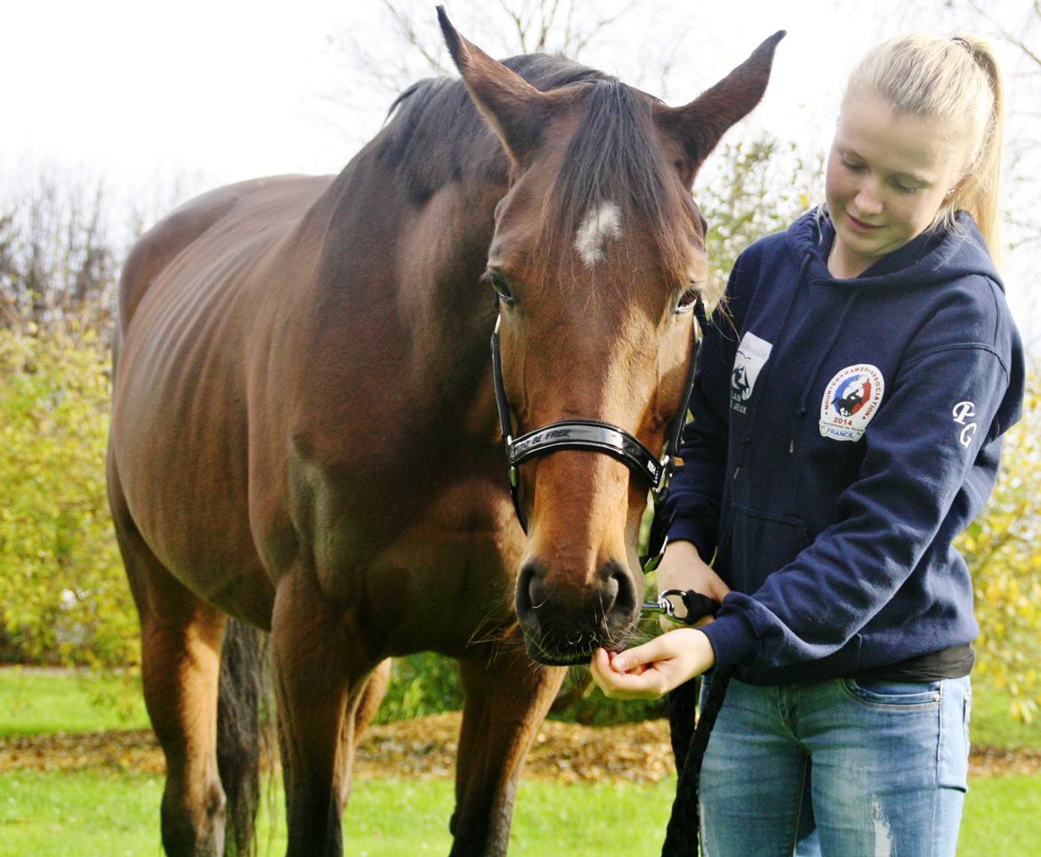 Dansk Varmblod Pauline Byhøj - Elsker <3 billede 26