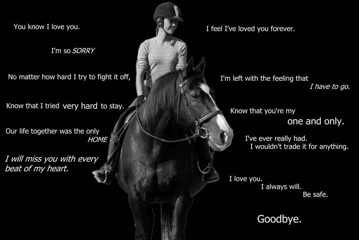 Oldenborg LARSEN - 20/11-2014: Et år siden aflivningen billede 22