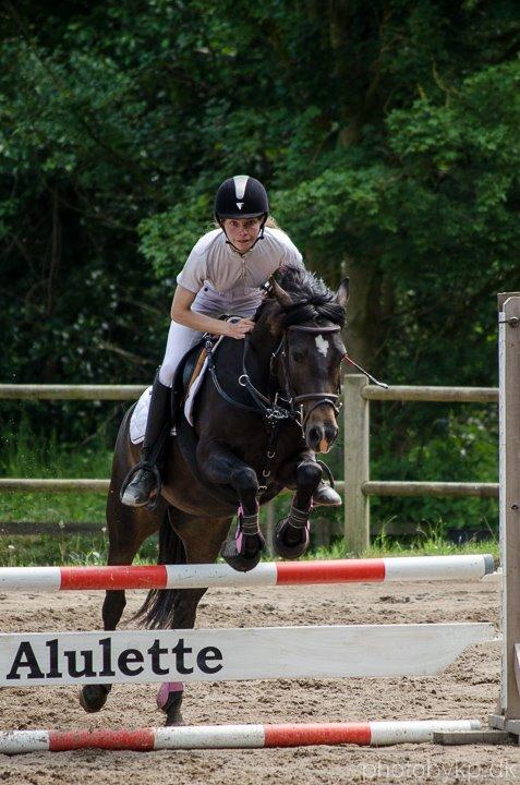 New Forest Hamborgs Jacaranda billede 10