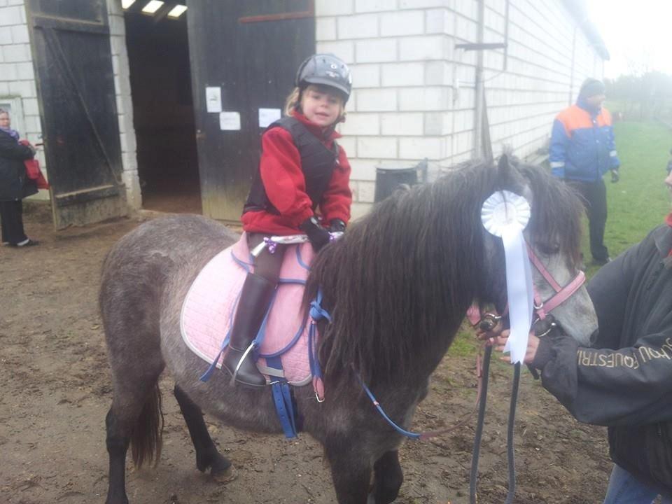 Anden særlig race Fanta billede 12