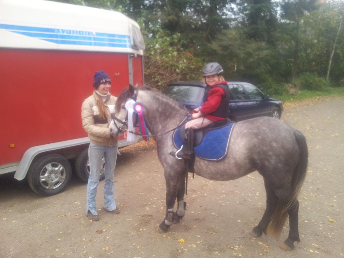 Anden særlig race Fanta billede 13