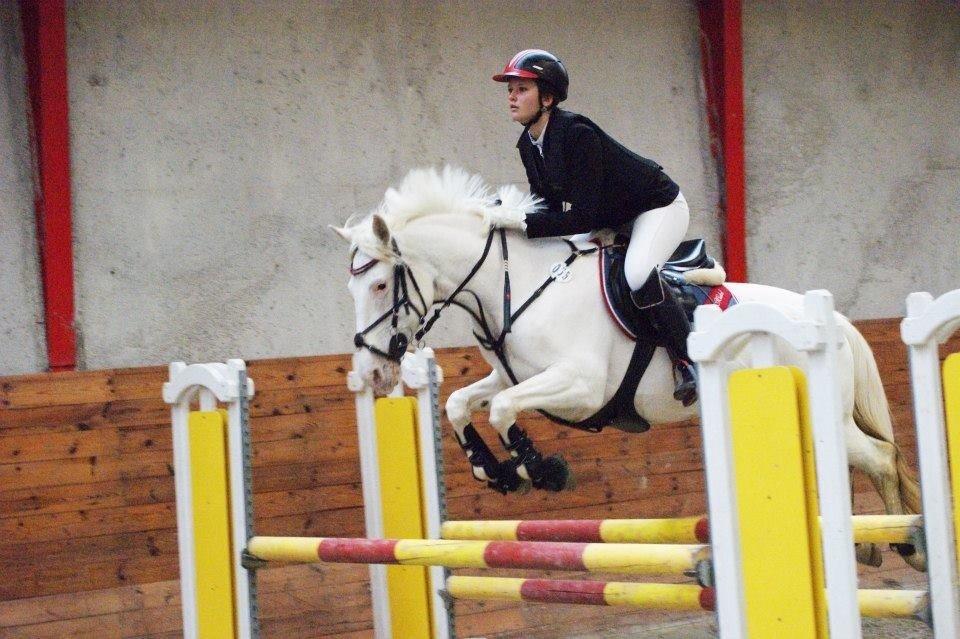 Hollandsk Sportspony Icequeen  billede 12