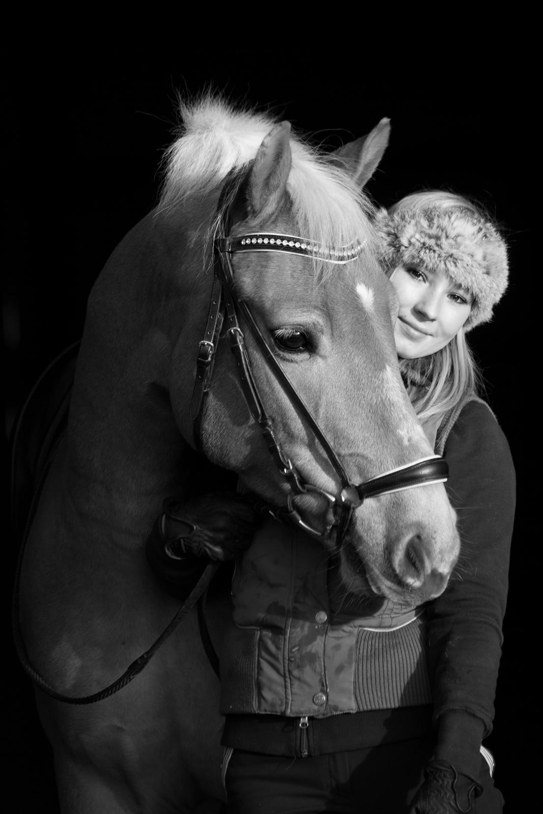 Haflinger Amazing Grace - Vi er klar til vintersæsonen (træningssæson!) billede 1