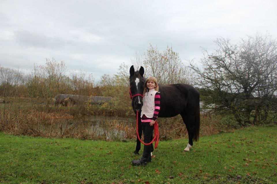 Dansk Varmblod Puma min elskede <3 himmelhest R.IP - Smukke pigen billede 30