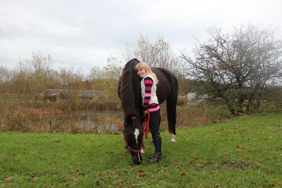 Dansk Varmblod Puma min elskede <3 himmelhest R.IP - Du er så sød billede 33
