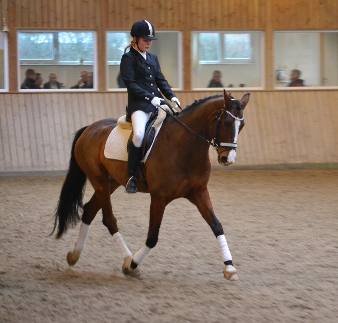 Westfaler Fleaubert von Florencio - LC3 billede 20