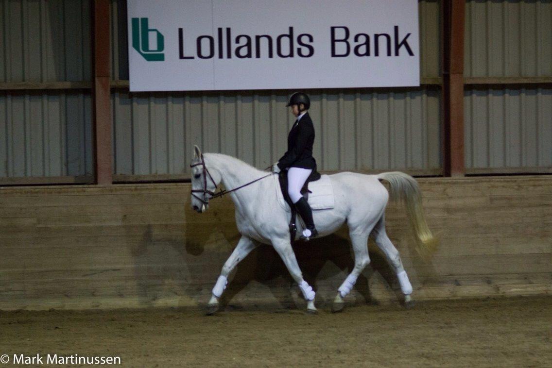 Anden særlig race Just My Luck (Lucky) - Vinter 2014 - Dressurstævne billede 33