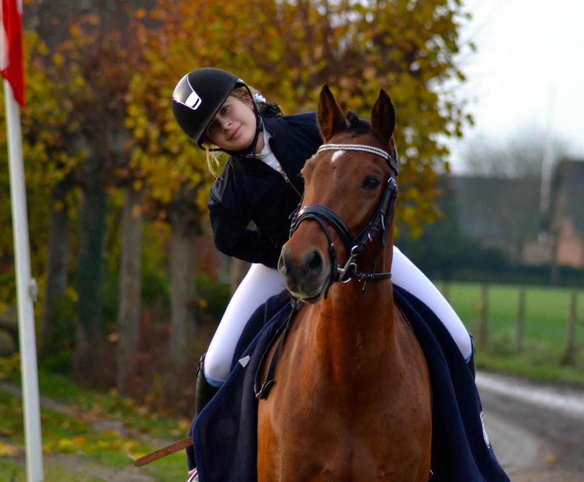 DSP Nikita - Skovly Rideklub LB3: 66,774 blev nr 1. Dejlige Niki  billede 17