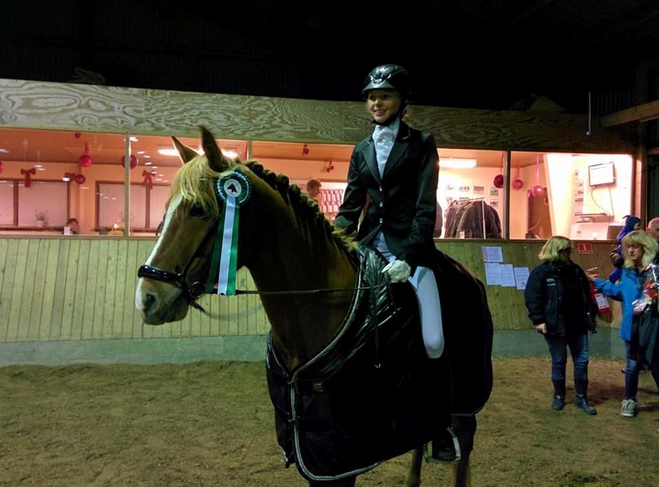 Tysk Sportspony Firfod Finn Fodslaw (Himmelhest) - Solr d.23.11.14 billede 1