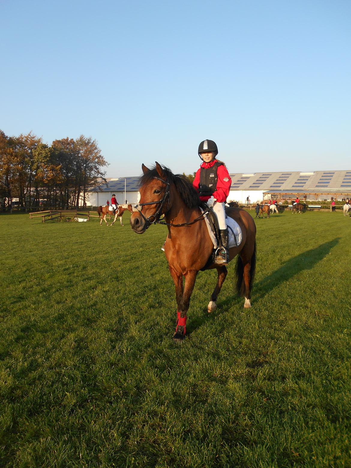 DSP Beauty billede 8