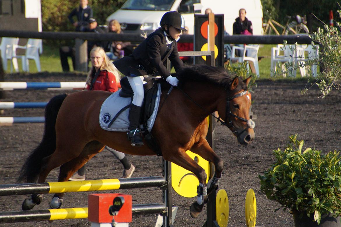 DSP Beauty billede 10