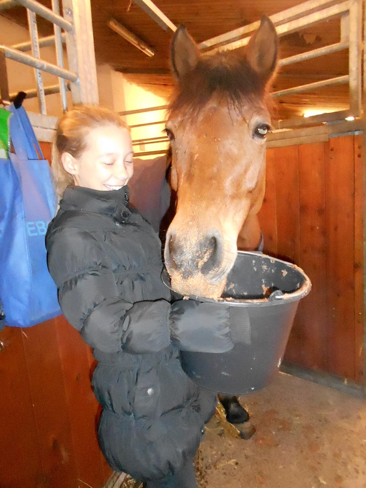 DSP Beauty billede 13