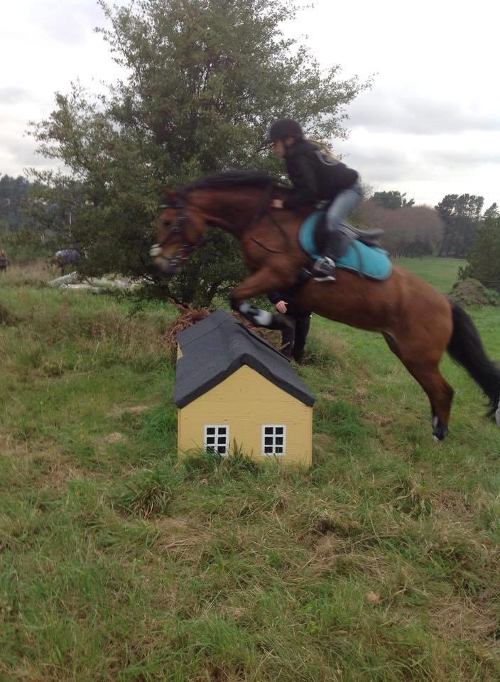 DSP Beauty billede 16