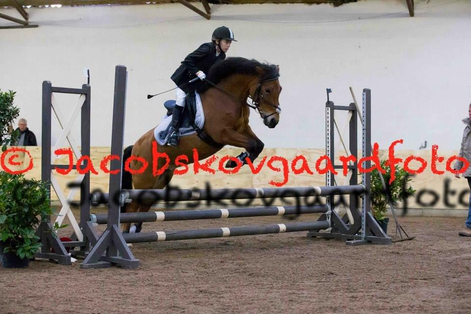 DSP Beauty billede 17