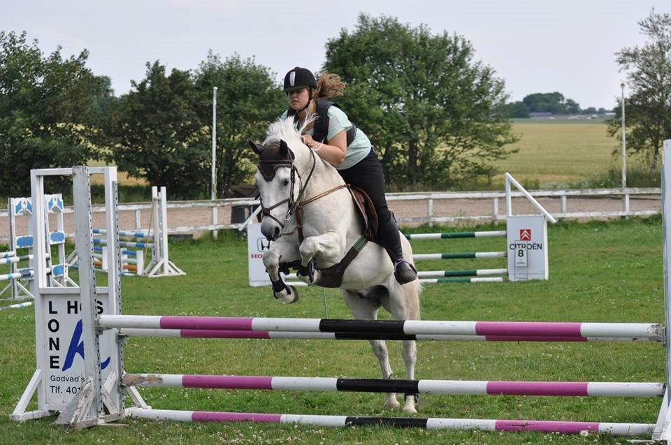 Anden særlig race silver (Min bedste ven) <3 - velkommen til Silver's profil.. smid gerne en kommenar med på vejen :D - springkursus 2014 <3 billede 1