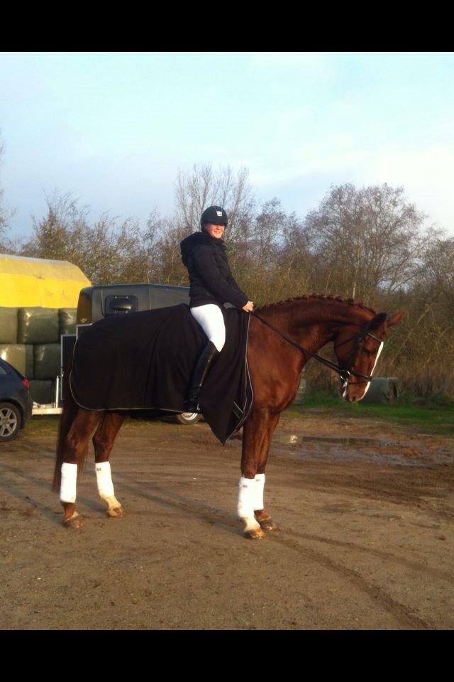 Dansk Varmblod Virgin´s Salsa - Salsa og jeg til distriktsstævne i Silkeborg november 2014 - en sand star billede 19