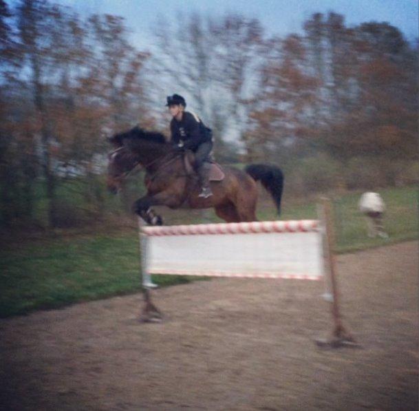 Dansk Varmblod FIGHTER - Springtræning. 130 cm billede 16