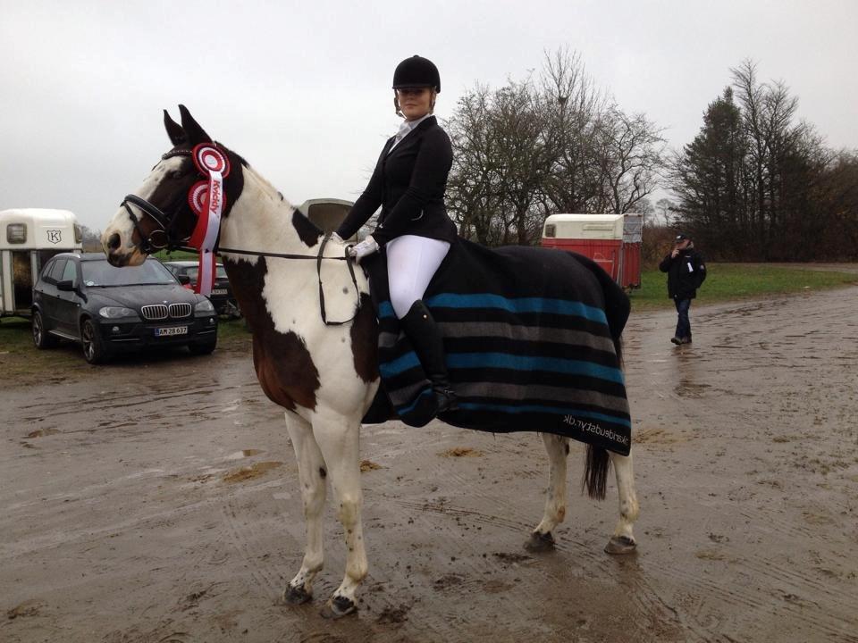 Pinto PePitto - Petti<3 - Efter stævnet i Ry :) LD1 til 75% og LC1 til 73% 2x 1 pladser<3 billede 3