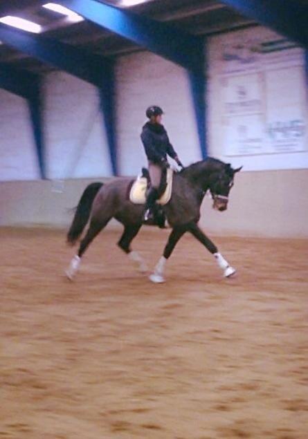 Oldenborg Don Frello billede 28